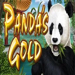 Pandas Gold